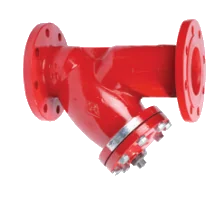 V4 Flanged End Strainer